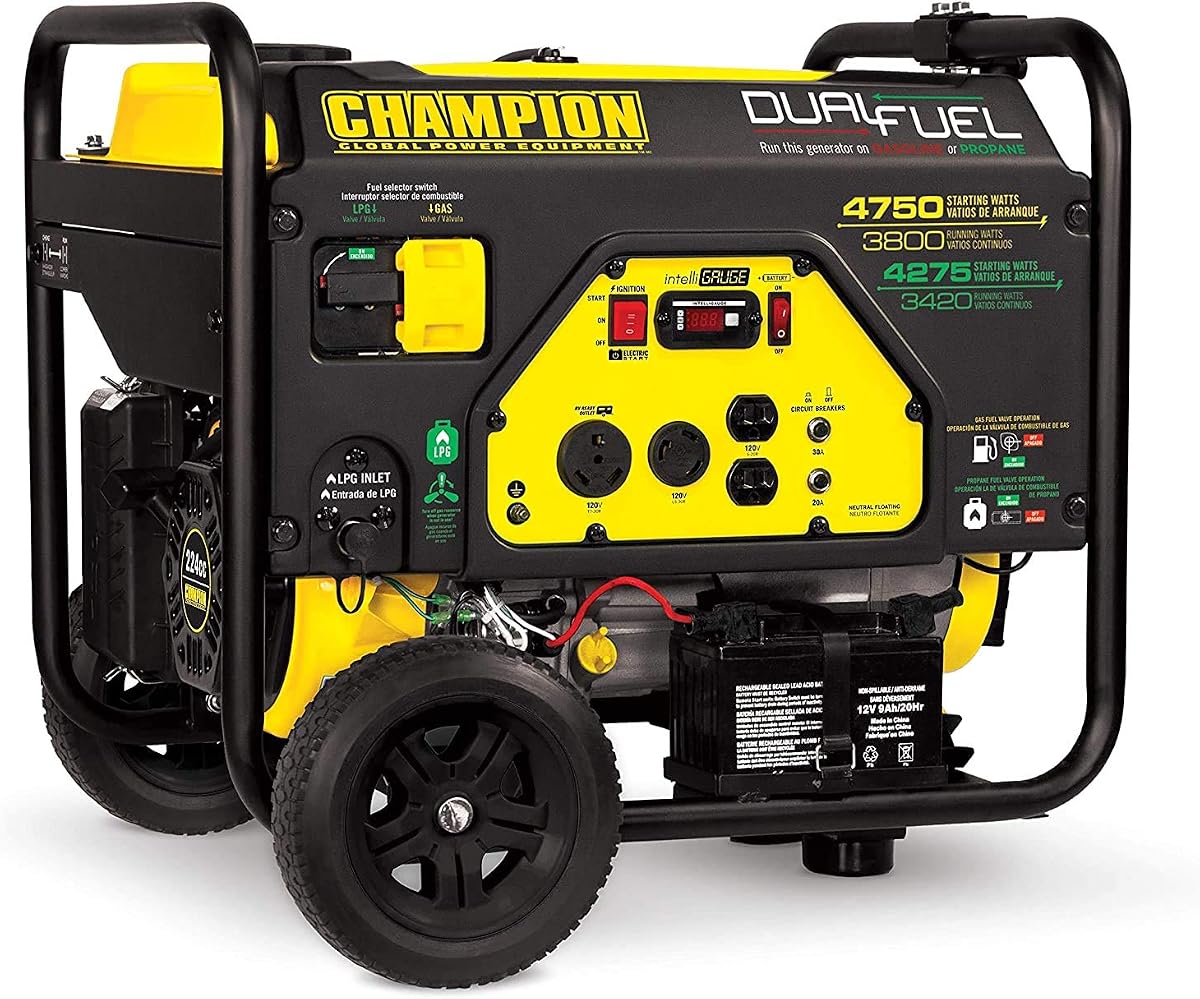 Champion 76533 4,750-Watt Dual Fuel Portable Generator product photo